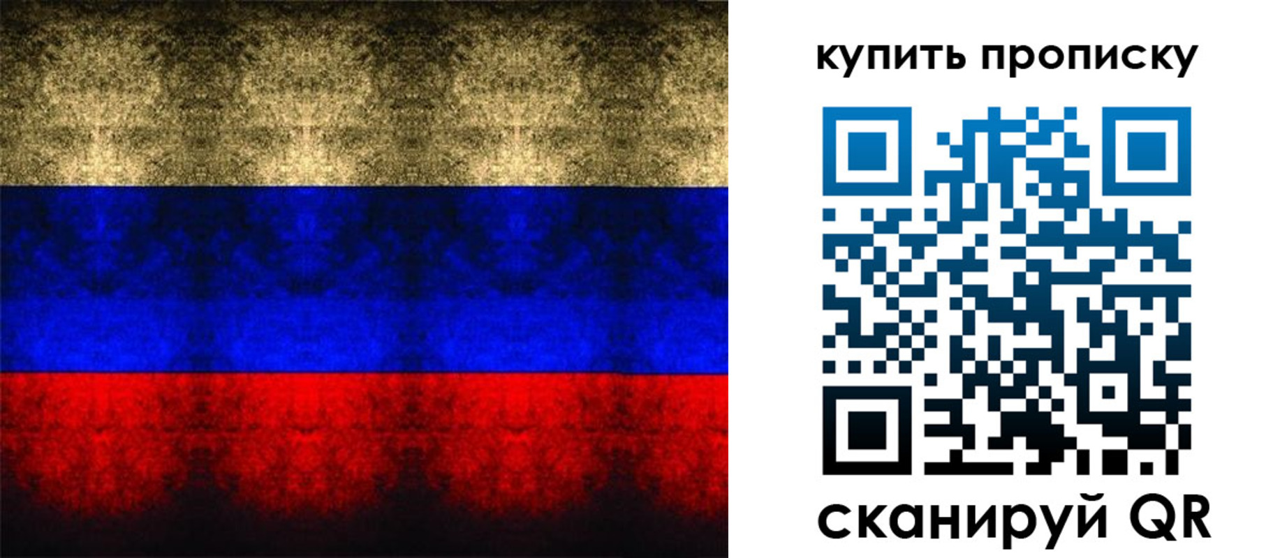 прописка в Сясьстрое